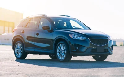 Vestibulum faucibus lorem a tellus pellentesque tristique